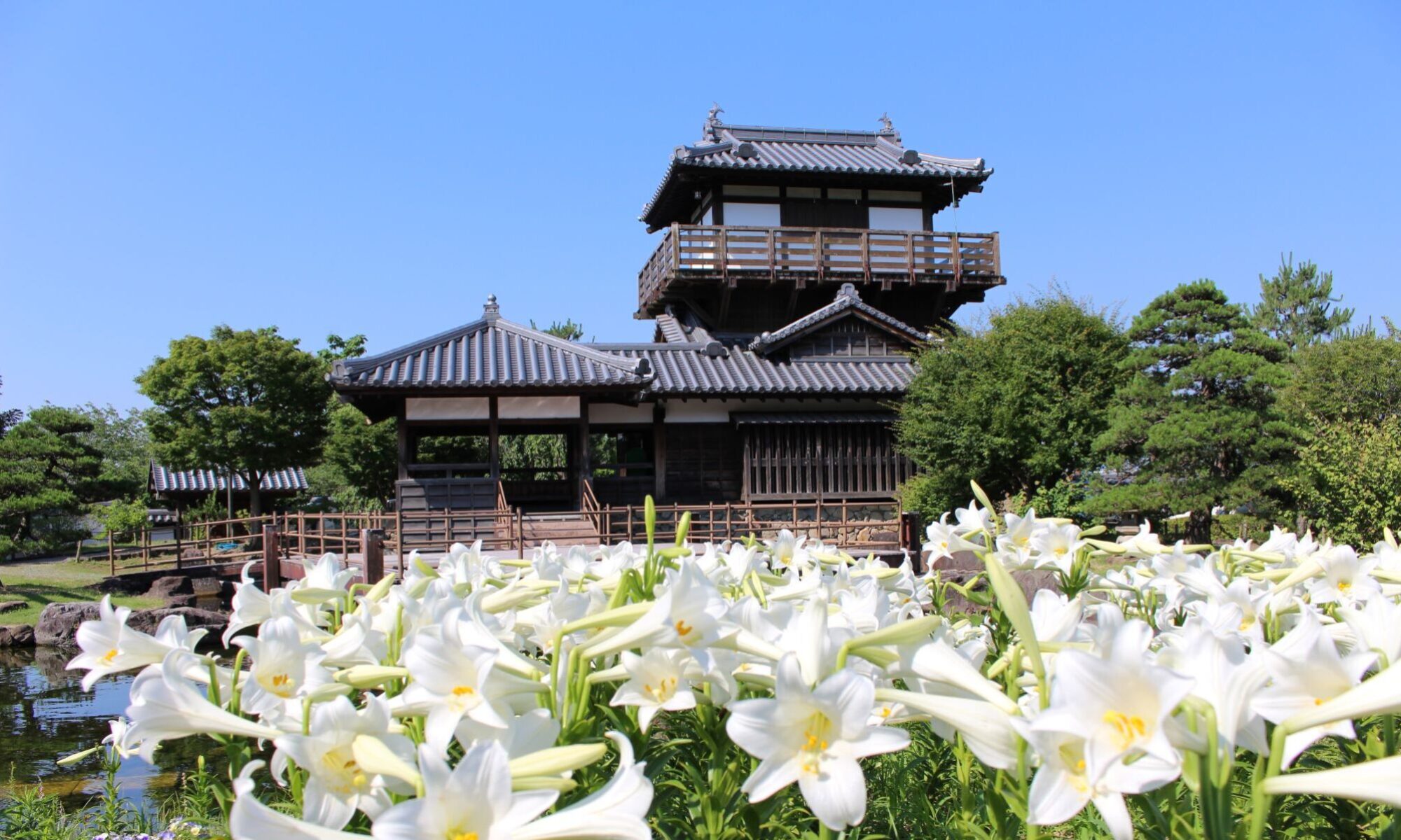 池田 公園